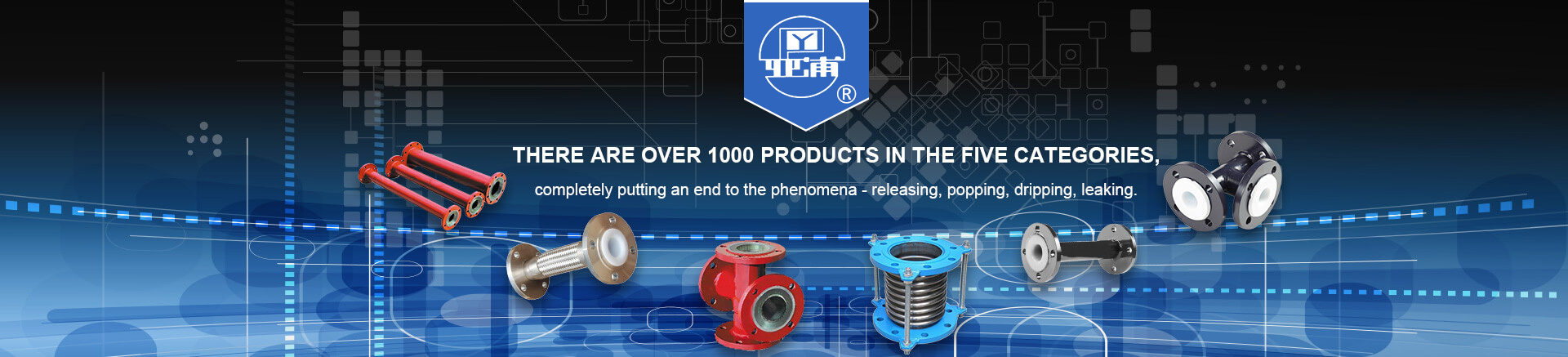 There are over 1000 products in the five categories.